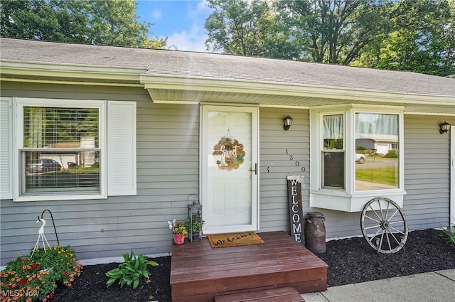 1300 Andrew Ave, Salem, OH 44460 - property entrance featuring roof with shingles