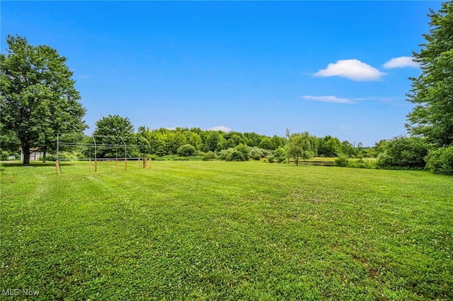5050 Middle Rd, Conneaut, OH 44030 - view of grassy yard