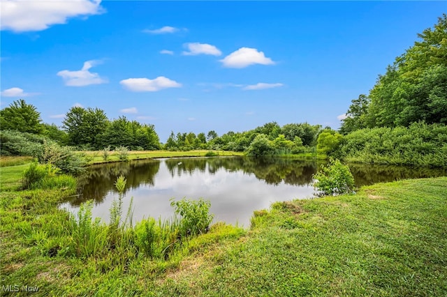 5050 Middle Rd, Conneaut, OH 44030 - water view