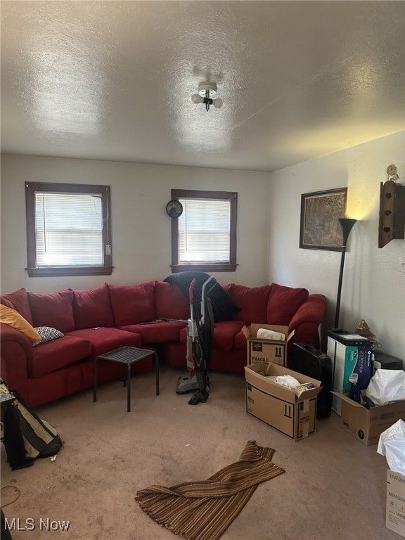 1720 Spring St, Parkersburg, WV 26101 - living room featuring carpet and a textured ceiling