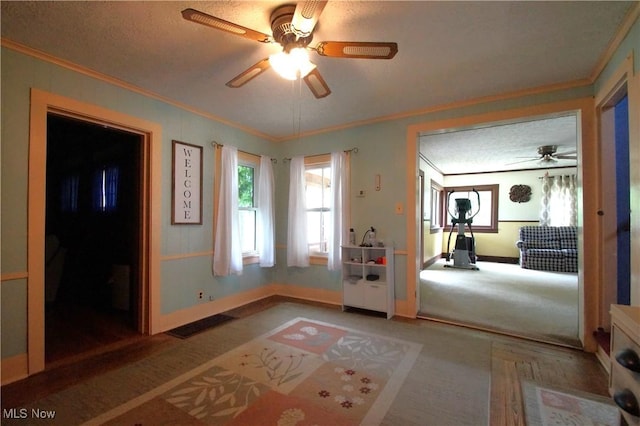 45 Mechanic St, Berlin Heights, OH 44814 - carpeted spare room with a ceiling fan and ornamental molding
