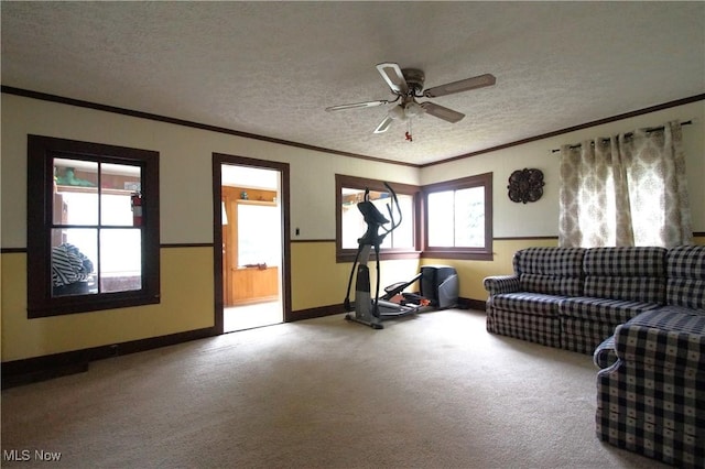 45 Mechanic St, Berlin Heights, OH 44814 - living area with crown molding, ceiling fan, carpet, and a textured ceiling