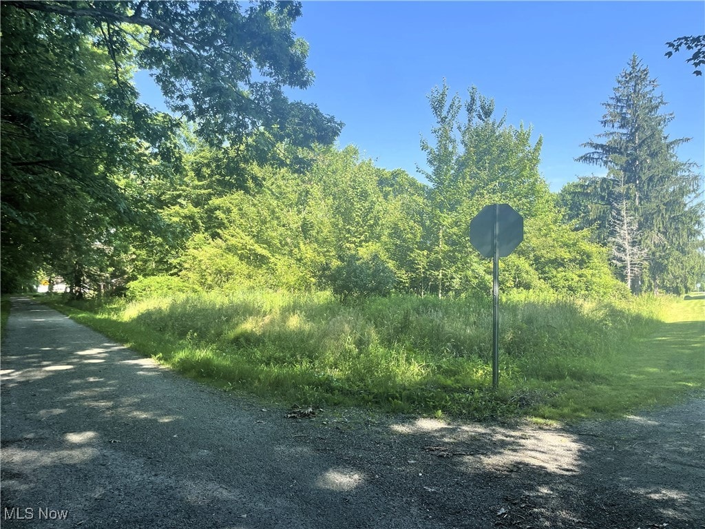 Maple St, Andover, OH 44003