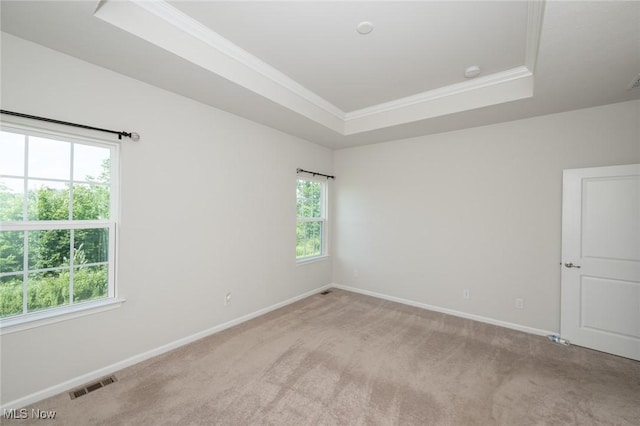 1637 Duncan Way, Streetsboro, OH 44241 - empty room with a raised ceiling, healthy amount of natural light, light colored carpet, and crown molding