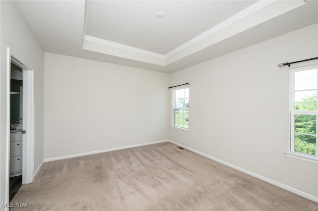 1637 Duncan Way, Streetsboro, OH 44241 - empty room with carpet, plenty of natural light, crown molding, and a tray ceiling