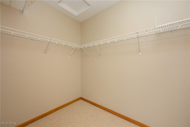 103 Beech St, Doylestown, OH 44230 - spacious closet featuring light carpet