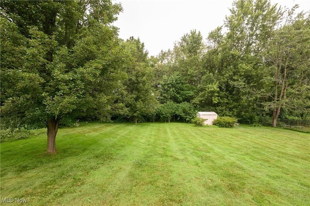 103 Beech St, Doylestown, OH 44230 - view of grassy yard