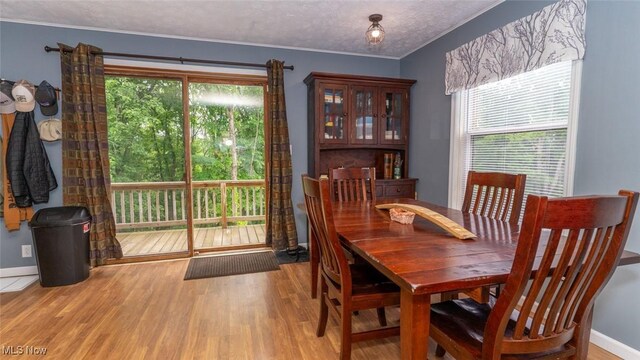6413 Dague Rd SE, Uhrichsville, OH 44683 - photo 13
