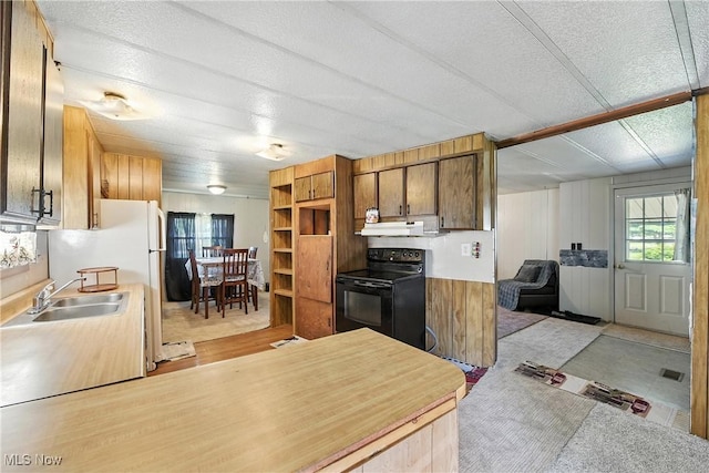 100 Raleigh Dr, Elyria, OH 44035 - photo 12