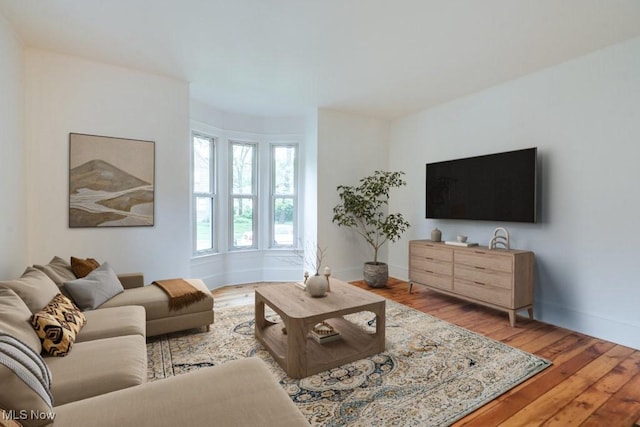 235 Elm St, Oberlin, OH 44074 - living room featuring hardwood / wood-style flooring and baseboards