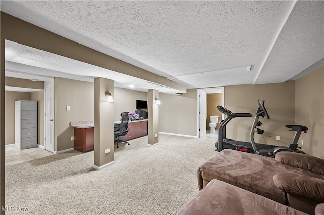 1036 Larkens Way, Medina, OH 44256 - exercise area with carpet floors and a textured ceiling