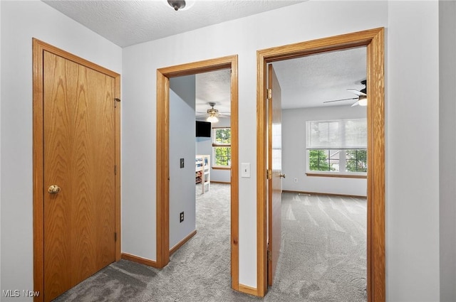 1036 Larkens Way, Medina, OH 44256 - corridor featuring carpet and a textured ceiling