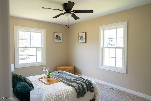 5699 Colgate Ave, Austintown, OH 44515 - bedroom with carpet and ceiling fan