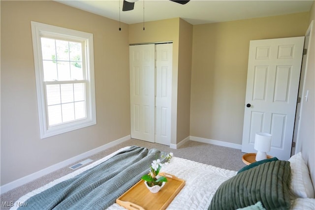 5699 Colgate Ave, Austintown, OH 44515 - bedroom featuring a closet, light carpet, and ceiling fan