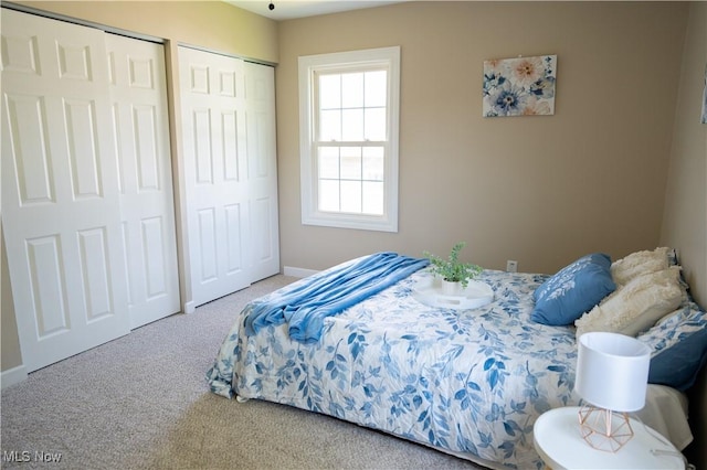 5699 Colgate Ave, Austintown, OH 44515 - carpeted bedroom featuring two closets and baseboards