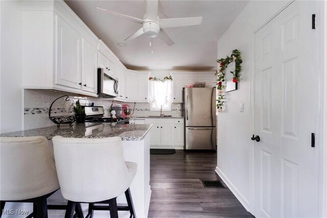 162 N Beverly Ave, Youngstown, OH 44515 - kitchen featuring stainless steel appliances, a peninsula, ceiling fan, light stone countertops, and white cabinets