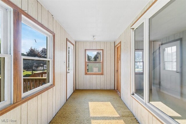 274 2nd St SW, Brewster, OH 44613 - unfurnished sunroom with plenty of natural light, wood walls, and carpet flooring