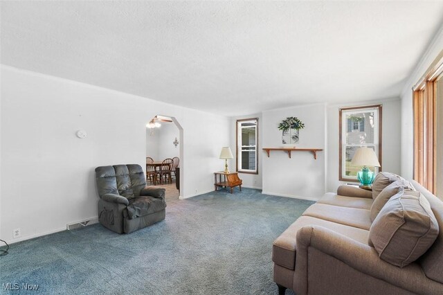 274 2nd St SW, Brewster, OH 44613 - living room featuring carpet, arched walkways, and a textured ceiling