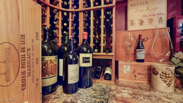 1431 Cedar Point Rd, Sandusky, OH 44870 - view of wine cellar