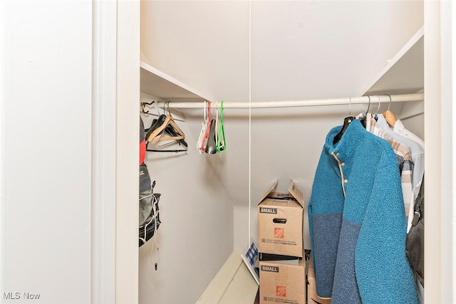 2215 S Belvoir Blvd, University Heights, OH 44118 - view of spacious closet