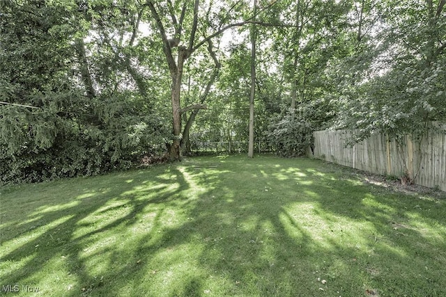 2215 S Belvoir Blvd, University Heights, OH 44118 - view of yard