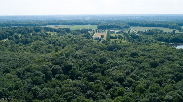 11919 Claridon Troy Rd, Chardon, OH 44024 - bird's eye view of a heavily wooded area