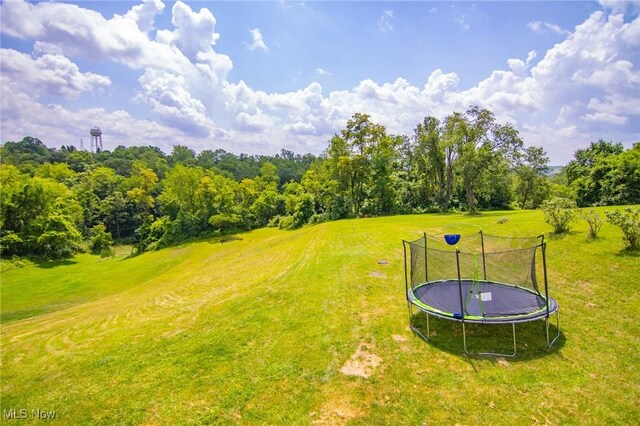 208 Jefferson Blvd, Mingo Junction, OH 43938 - view of grassy yard with a trampoline