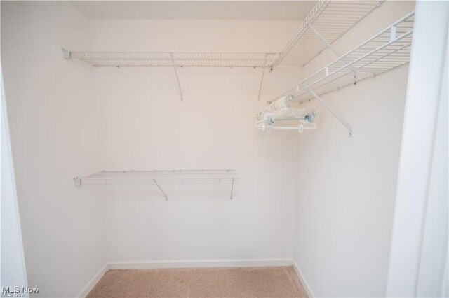 125 Fitch Blvd Unit 263, Austintown, OH 44515 - spacious closet with light colored carpet