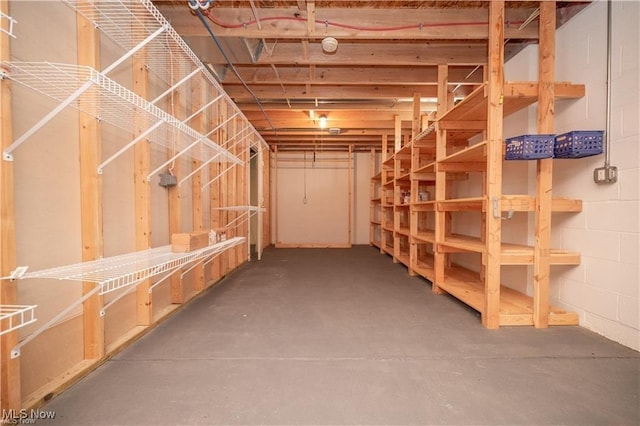 125 Fitch Blvd Unit 263, Austintown, OH 44515 - view of storage