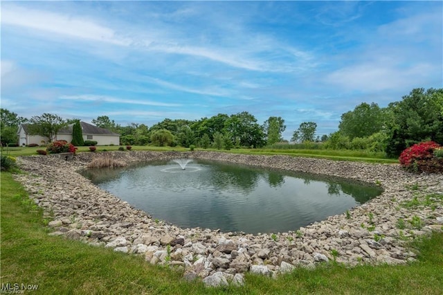 125 Fitch Blvd Unit 263, Austintown, OH 44515 - water view