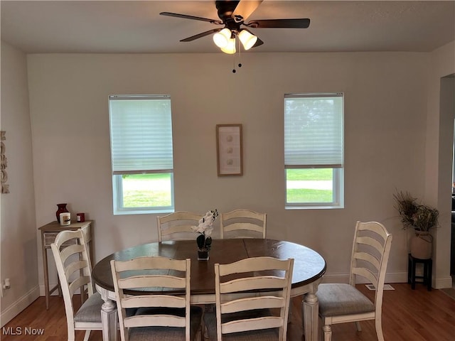 45055 N Ridge Rd, Amherst, OH 44001 - dining room featuring wood finished floors, healthy amount of natural light, and a ceiling fan