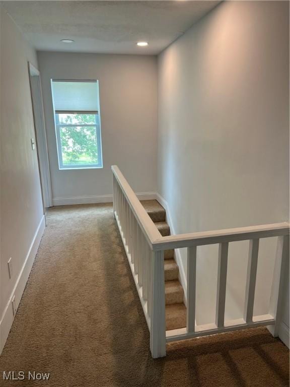 45055 N Ridge Rd, Amherst, OH 44001 - staircase featuring carpet and baseboards