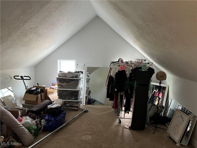 45055 N Ridge Rd, Amherst, OH 44001 - additional living space featuring a textured ceiling, lofted ceiling, and carpet flooring