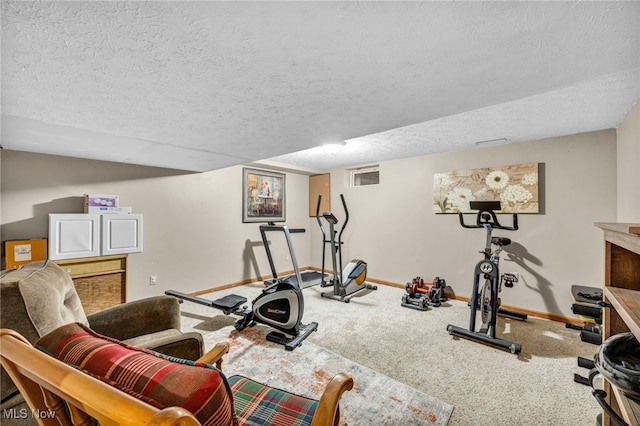 12208 State Route 113, Wakeman, OH 44889 - exercise room featuring carpet floors and a textured ceiling