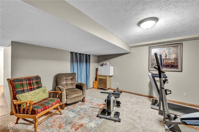 12208 State Route 113, Wakeman, OH 44889 - exercise area featuring carpet and a textured ceiling