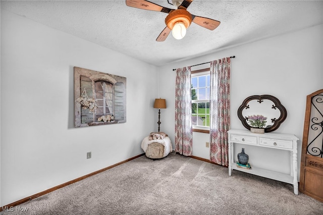 12208 State Route 113, Wakeman, OH 44889 - sitting room with carpet, a textured ceiling, and ceiling fan