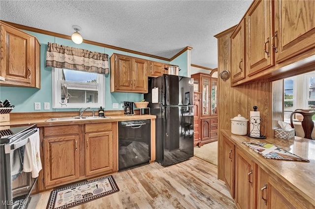 16 Piccolo, Olmsted Twp, OH 44138 - kitchen featuring black appliances, light wood-type flooring, plenty of natural light, brown cabinetry, and ornamental molding