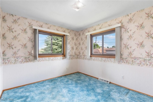 4899 Autumn Ln, Brooklyn, OH 44144 - spare room featuring plenty of natural light, a wainscoted wall, and carpet