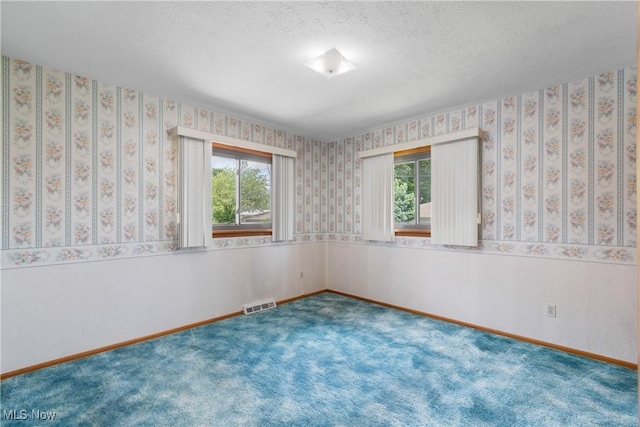 4899 Autumn Ln, Brooklyn, OH 44144 - carpeted empty room featuring plenty of natural light, wainscoting, and a textured ceiling