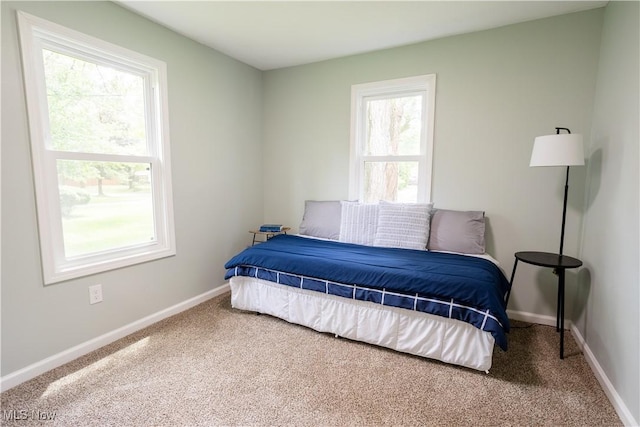 359 S Pleasant St, Oberlin, OH 44074 - photo 19