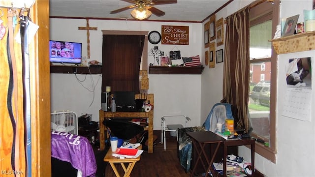 430 S 3rd St, Coshocton, OH 43812 - interior space with a ceiling fan, wood finished floors, and crown molding
