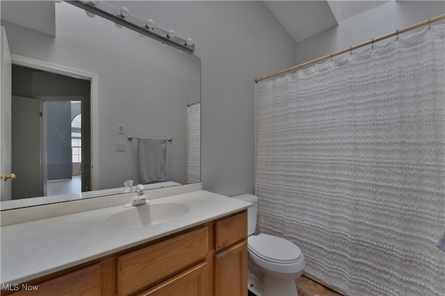 1173 Red Tail Hawk Ct Unit 4, Youngstown, OH 44512 - full bathroom with vanity, vaulted ceiling, and a shower with shower curtain