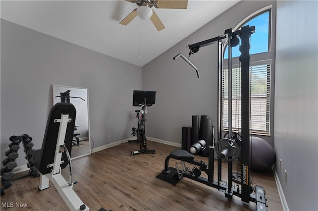 1173 Red Tail Hawk Ct Unit 4, Youngstown, OH 44512 - exercise room featuring a ceiling fan, lofted ceiling, and wood finished floors