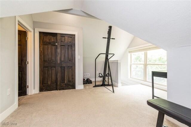 1906 W 47th St, Cleveland, OH 44102 - exercise room featuring vaulted ceiling and carpet