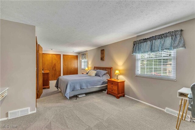 4090 Ridgeview Rd, Cleveland, OH 44144 - bedroom featuring carpet, a textured ceiling, and multiple closets