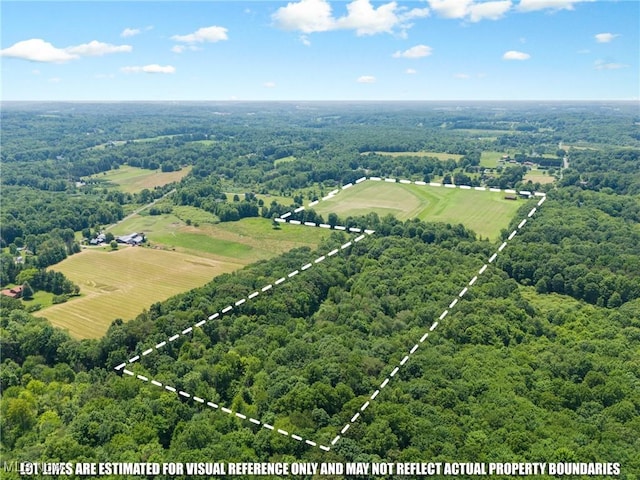 12456 Sheldon Rd, Mantua, OH 44255 - overview of rural landscape with a forest and property boundaries highlighted