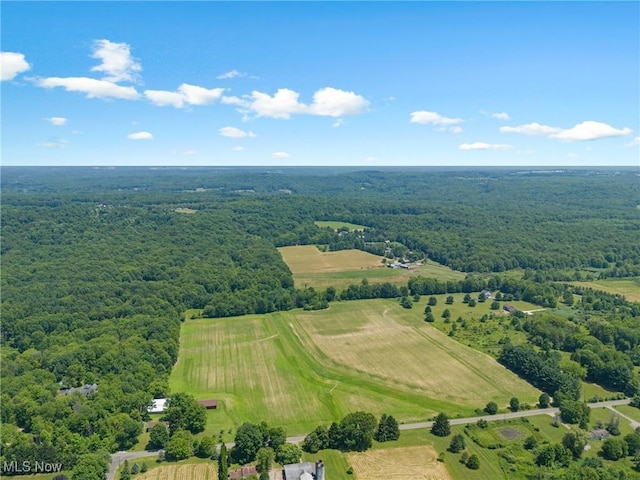 12456 Sheldon Rd, Mantua, OH 44255 - view of rural area with a heavily wooded area