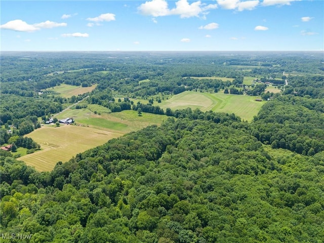 12456 Sheldon Rd, Mantua, OH 44255 - bird's eye view of a forest