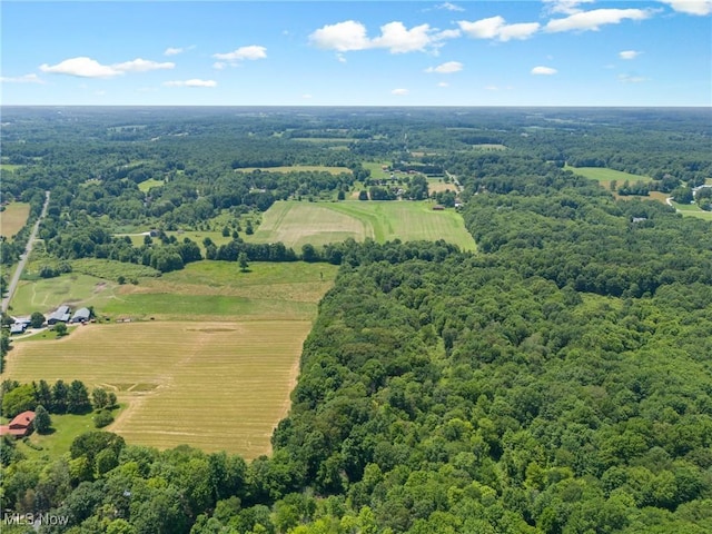 12456 Sheldon Rd, Mantua, OH 44255 - overview of rural landscape featuring a forest