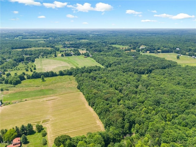 12456 Sheldon Rd, Mantua, OH 44255 - overview of rural landscape featuring a heavily wooded area